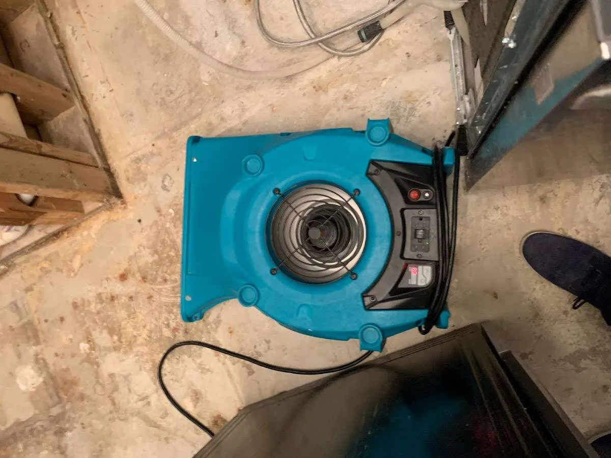 Air mover drying equipment for Mold Remediation & Removal in Drexel Heights
